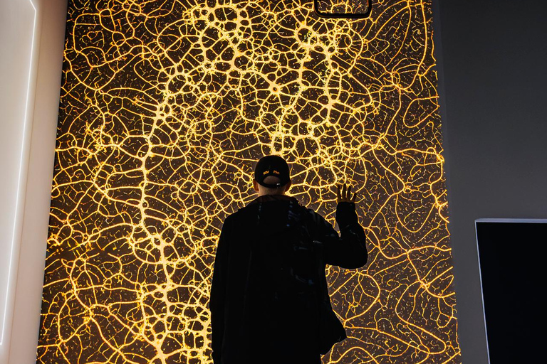 Prague: Signal Space Digital Art Gallery Entry Ticket Signal Space Digital Art Gallery Open Ticket