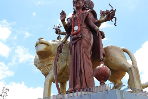Tour particular de luxo e único no sudoeste da Maurícia