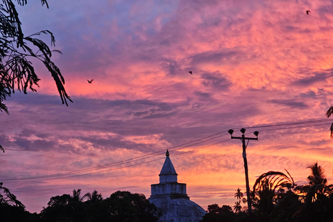 Tissamaharama: Temple Tour by Tuk-Tuk with Guide