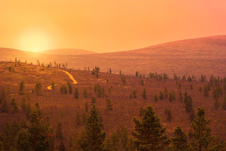 Saariselkä: Hiking Day with Lunch in Kiilopää
