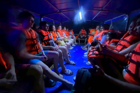 Krabi: Bioluminescent Plankton Night Swim