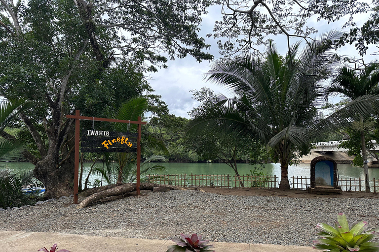 Puerto Princesa: Iwahig eldflugsskådning och flodkryssningEldflugetur med middag