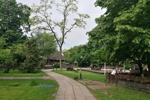 Panoramic tour of Bucharest with three stops and two visits.