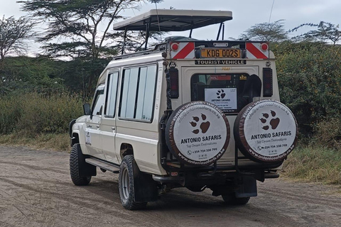 Excursão de luxo de 5 dias por Amboseli, Lake Naivasha e Masai Mara