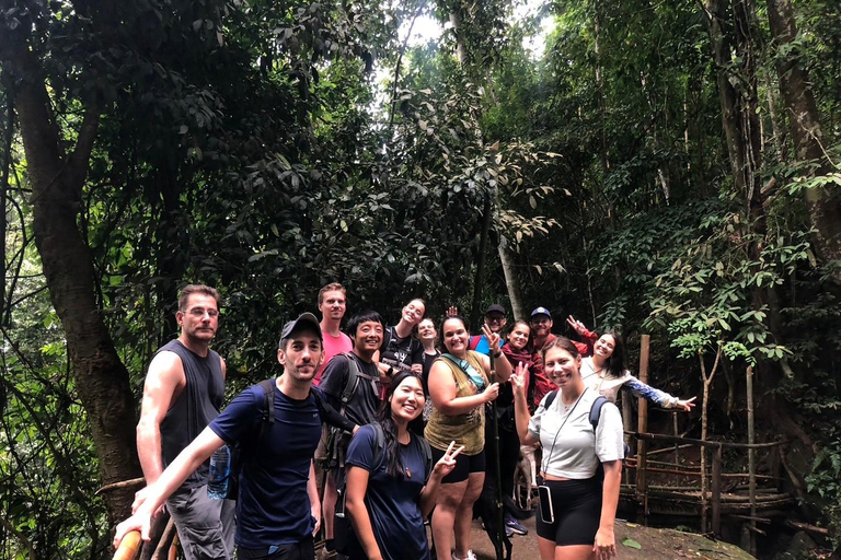 Chiang Rai: Jungle Adventure-Group Trekking & Bamboo Cooking