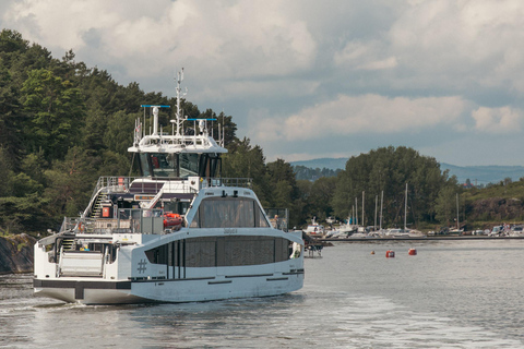 Oslo : Circuit dans les îles