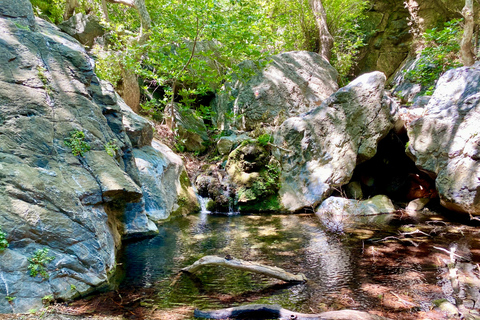 Kreta: Richtis Wasserfall Privat geführte Wanderung TourKreta: Richtis Wasserfall Private geführte Wanderung Tour