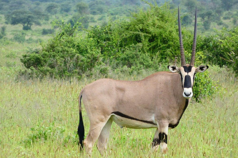 Nairobi: 3-Day Lake Nakuru, Hell’s Gate & Naivasha Safari