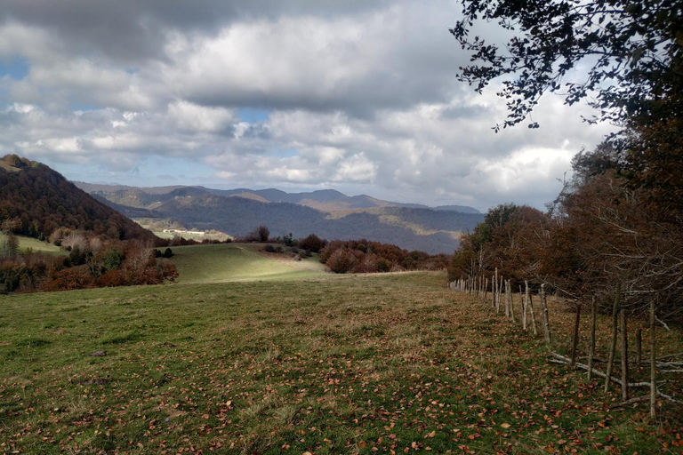 Puigsacalm and Puig dels Llops: the most spectacular route in La Garrotxa
