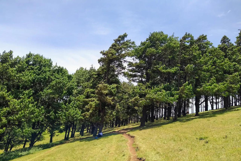 Nairobi:Ngong Hills Signature Hike Guided Tour