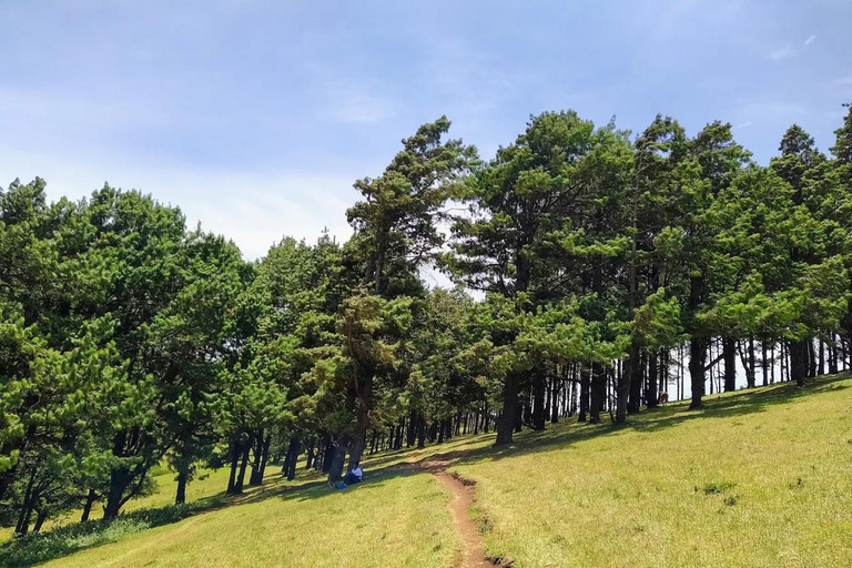 Nairobi:Ngong Hills Signature Hike Guided Tour