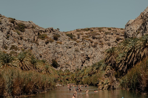 Z Rethymno: Jednodniowa wycieczka na południe Krety