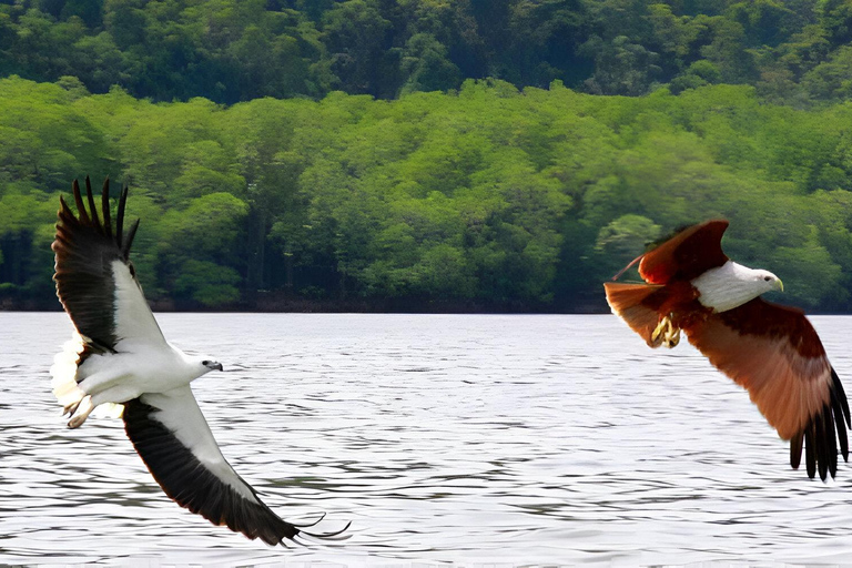 Langkawi: Island Hopping Shared or Private Boat Options Share Boat with Eagle Feeding at 9 AM