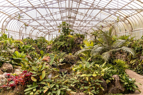 São Paulo: São Paulo Botanical Garden Entry Ticket