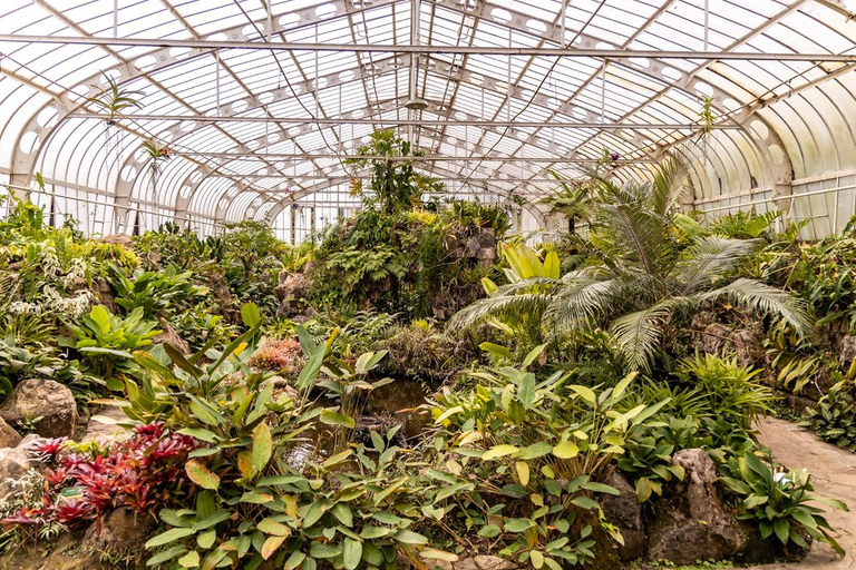 São Paulo: São Paulo Botanical Garden Entry Ticket