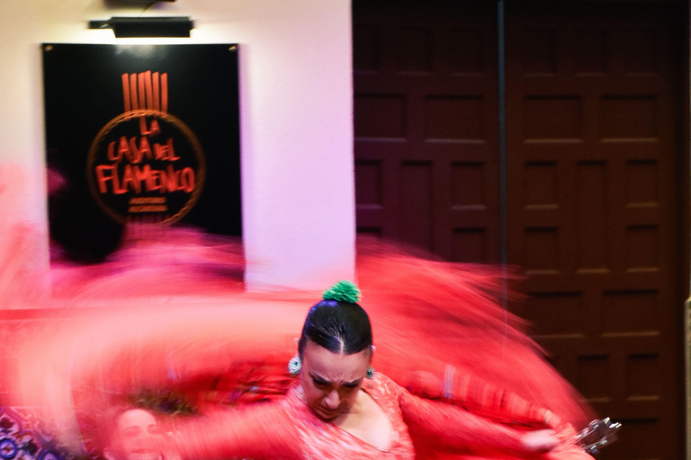 Sevilla: Traditional Flamenco Show at La Casa del Flamenco