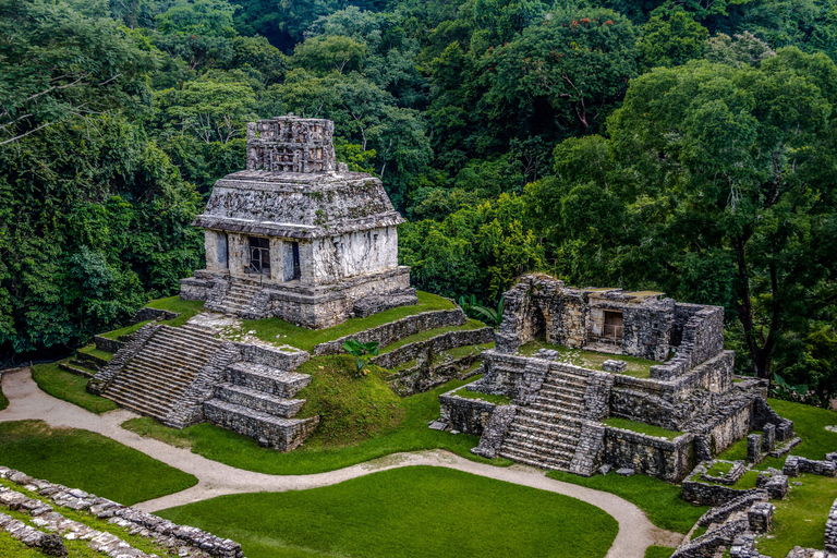 Chiapas: Palenque Archaeological Site Skip-the-Line Ticket