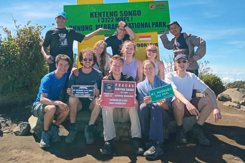 Yogyakarta: Mount Merbabu Hiking adventure Day Hiking with Guide
