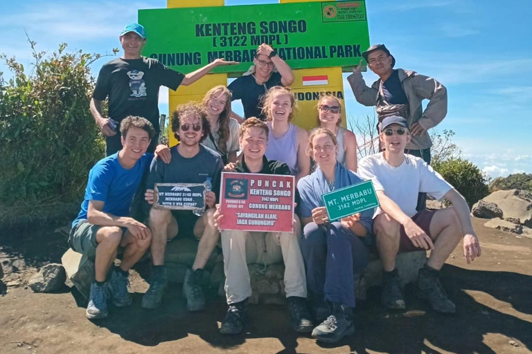 Yogyakarta: Mount Merbabu Hiking adventure Day Hiking with Guide