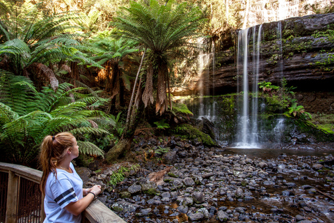 De Hobart: Excursão de um dia ao Mt. Field, Mt. Wellington e Vida Selvagem