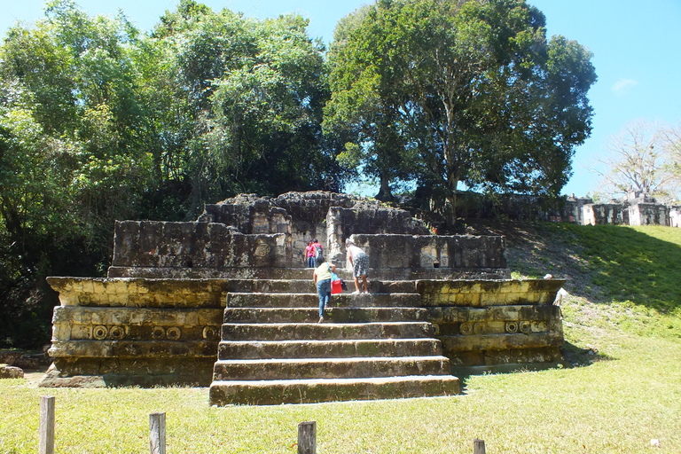 From Flores: Tikal Ruins Sunrise Guided Tour