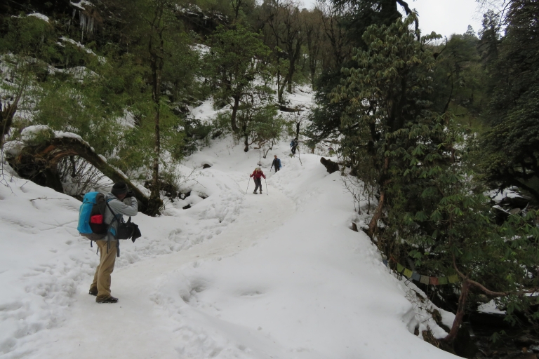 Z Pokhara - Ghorepani Poon Hill Ghandruk Trek - 4 dniGhorepani Poon Hill Circuit Trek - 4 dni