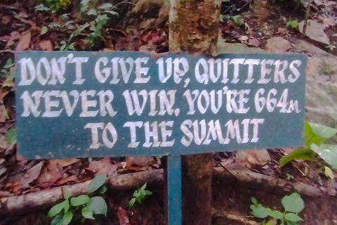 أكرا: جولة إرشادية لمدة 7 أيام للتعرف على التاريخ والتراث في غانا