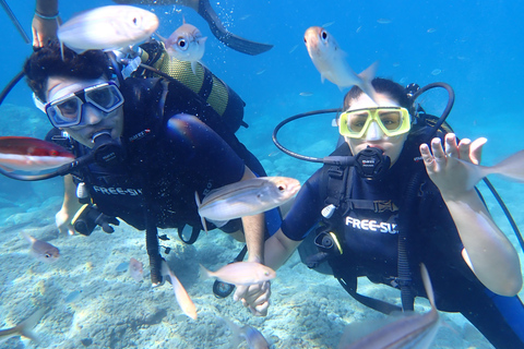 Alanya: 2 Guided Scuba Dives with Lunch and Hotel Transfers Tour with 2 Dives