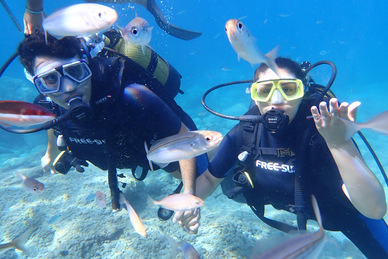 Alanya: 2 Guided Scuba Dives with Lunch and Hotel Transfers Tour with 2 Dives