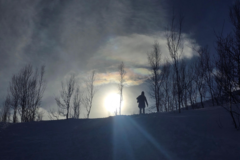Tromsø: Fjellheisen Local Guided Hike