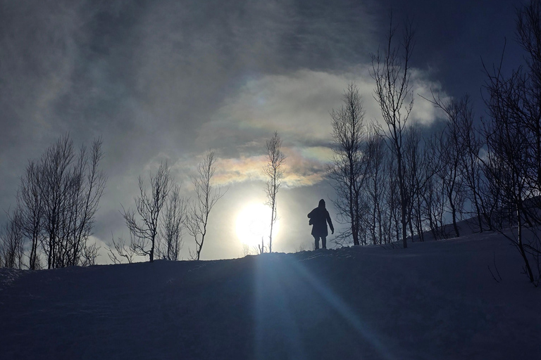 Tromsø: Fjellheisen Local Guided Hike