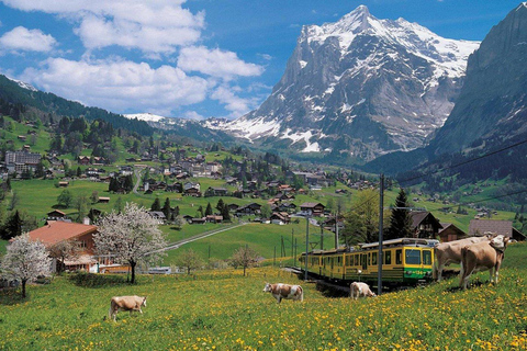 From Basel: Swiss Alps, Lauterbrunnen, & Beatus Caves Tour