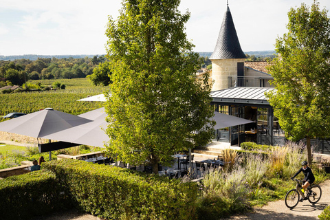 Saint-Émilion: Vineyard Tour and Wine Tasting