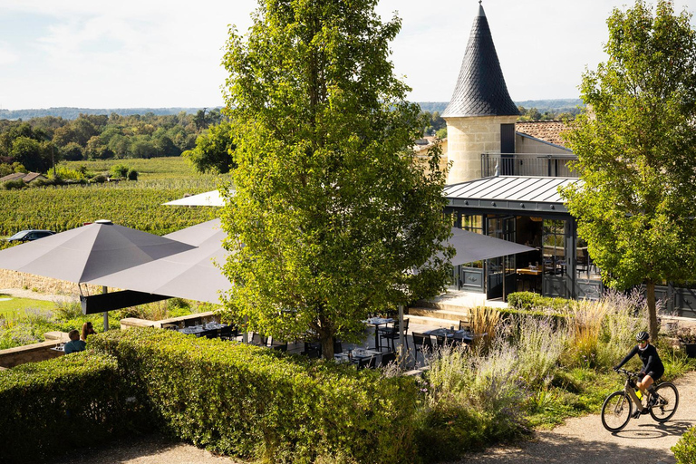 Saint-Émilion: Vineyard Tour and Wine Tasting