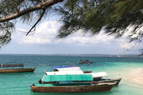 Zanzibar: Prison Island Tour with Giant Tortoises &Boat Ride Stone Town Pick-up, Prison Island Tax $22 Not Included