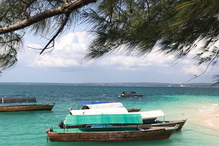 Zanzibar: Prison Island Tour with Giant Tortoises &Boat Ride Stone Town Pick-up, Prison Island Tax $22 Not Included