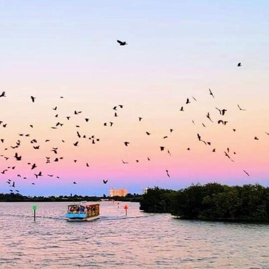 Colagem de mídia