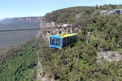 Blue Mountains Half Day Tour with Worlds Steepest Railway