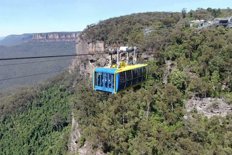 Blue Mountains Half Day Tour with Worlds Steepest Railway