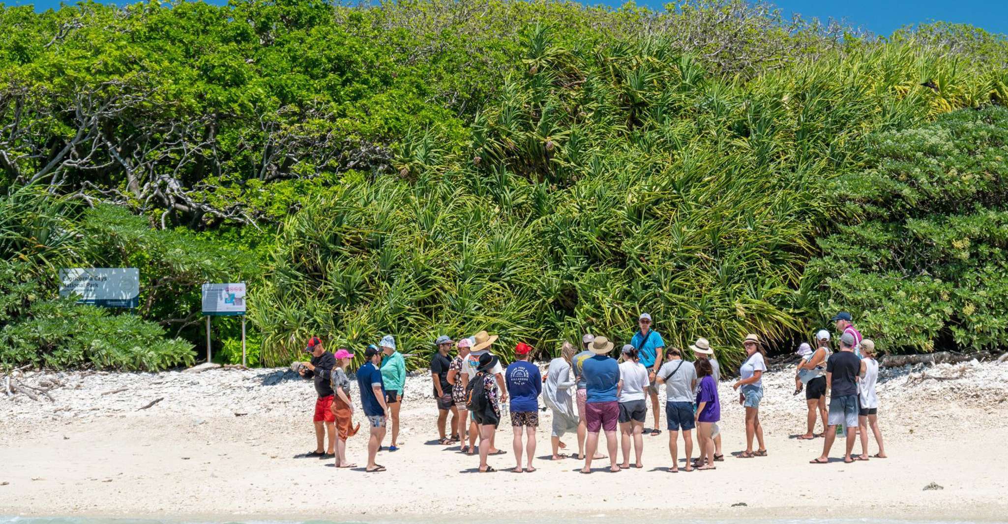 From Bundaberg, Barrier Reef & Lady Musgrave Island Day Tour - Housity
