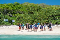 Bundaberg、Barrier Reef＆Lady Musgrave Island Dayツアーから - Housity