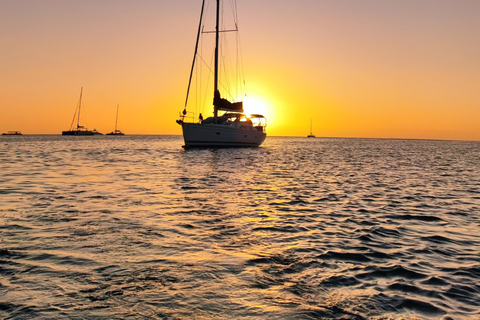 Saona Island: Private Yacht Tour with Lunch & Pickup