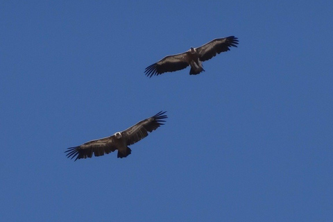 Kreta: Safari Land Roverem szlakiem minojskimSafari Land Roverem z odbiorem z Anissaras