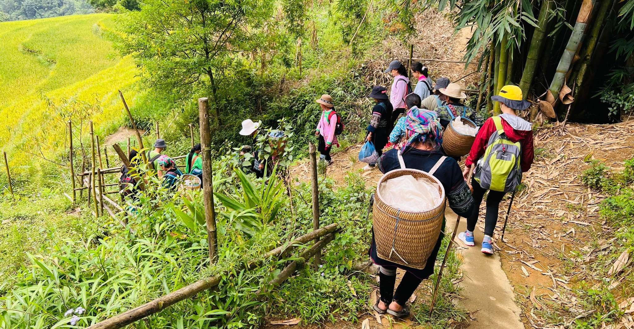 Sa Pa Trekking 2 Days - Housity