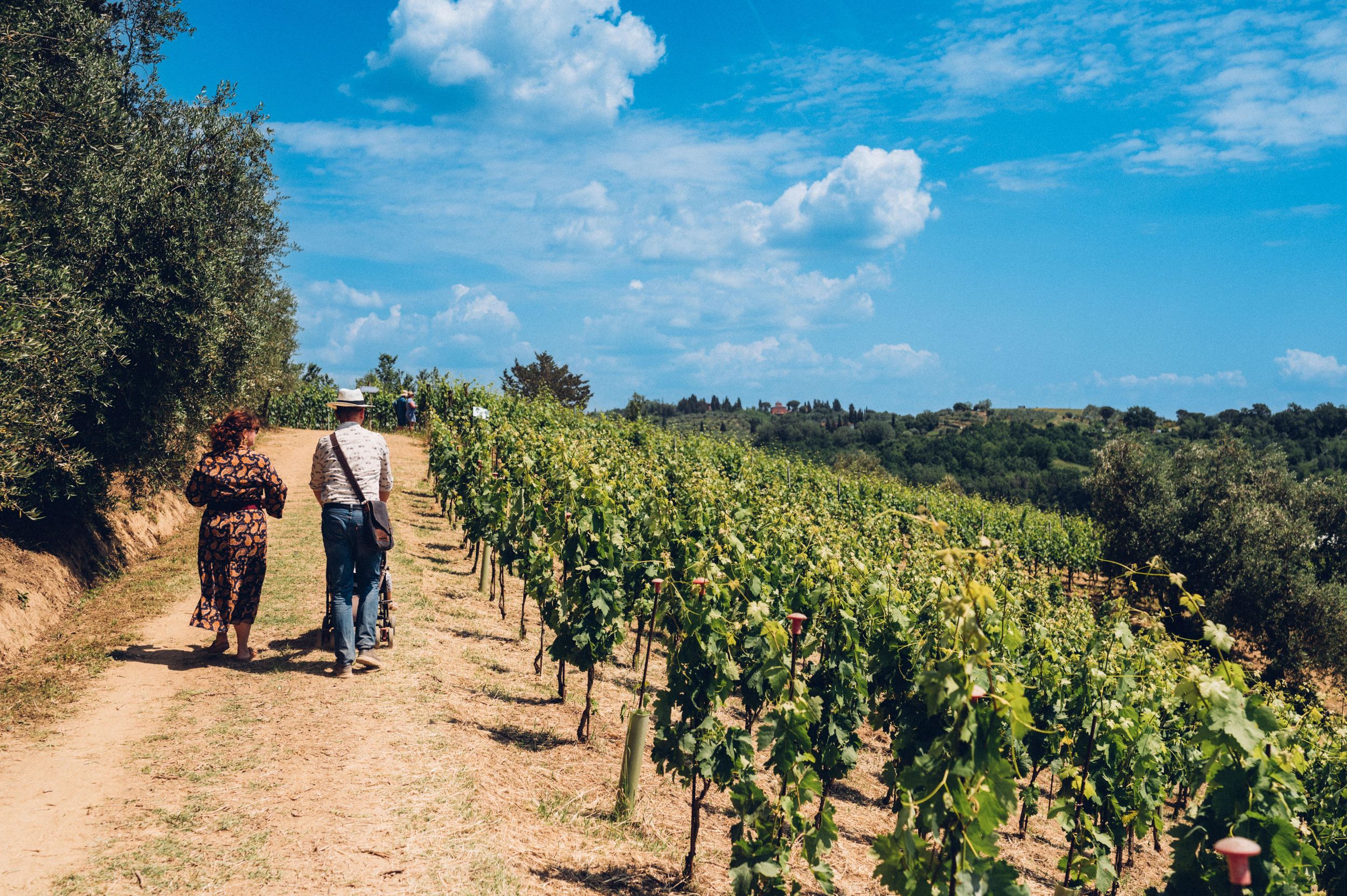 San Miniato: Bio-Weintour & Weinprobe in einem Familienweingut