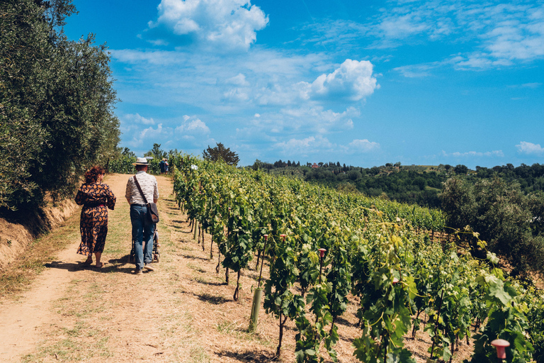 Tour del vino in una cantina familiare in Toscana