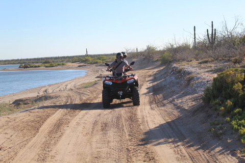 La Paz: ATV Route to Comitan and El Mogote Dunes La Paz: ATV Route to Comitán and El Mogote Dunes