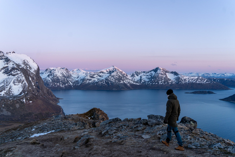 Tromsø: Midnight Sun Hike with Local Guides, Lunch & Photos