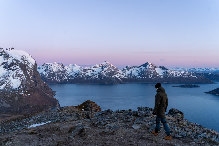 Tromsø: Midnight Sun Hike with Local Guides, Lunch & Photos