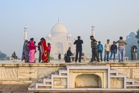 Taj Mahal Sunrise Tour with Elephant and Bear Rescued Centre Tour with Car, Guide, Monument Fee, Bear Rescue & Lunch